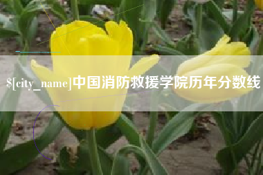 云南中国消防救援学院历年分数线
