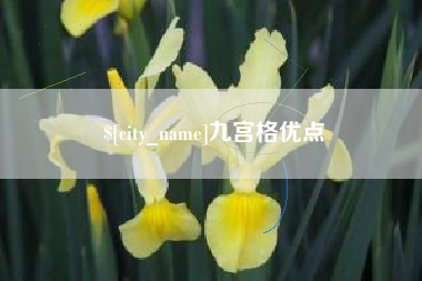 云南九宫格优点