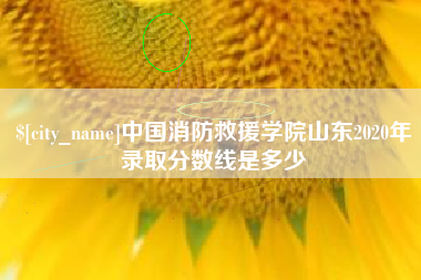 云南中国消防救援学院山东2020年录取分数线是多少