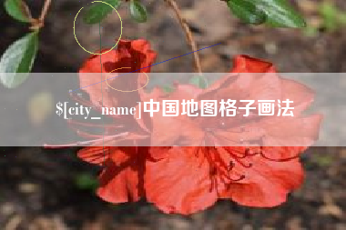 云南中国地图格子画法