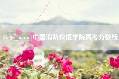 云南中国消防救援学院高考分数线