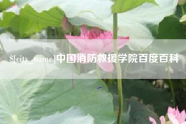 云南中国消防救援学院百度百科