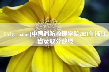 云南中国消防救援学院2021年浙江省录取分数线