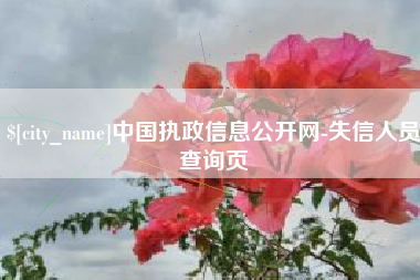 云南中国执政信息公开网-失信人员查询页