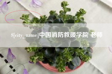 云南中国消防救援学院 老师