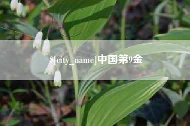 云南中国第9金