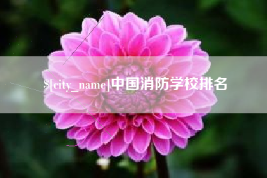 云南中国消防学校排名