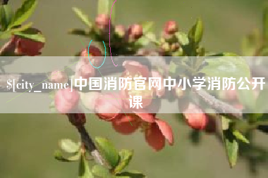 云南中国消防官网中小学消防公开课