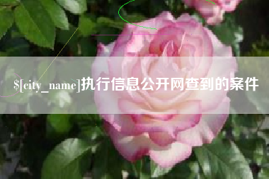 云南执行信息公开网查到的案件