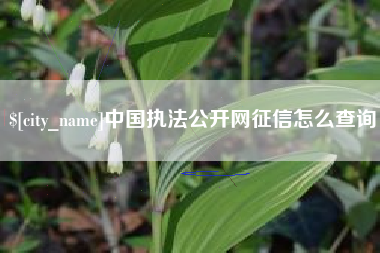 云南中国执法公开网征信怎么查询