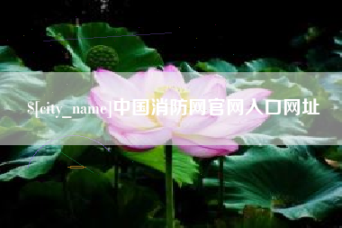 云南中国消防网官网入口网址