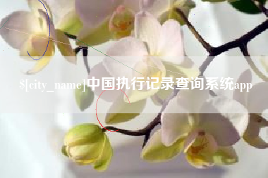 云南中国执行记录查询系统app