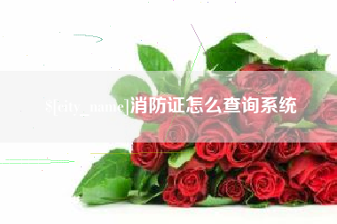 云南消防证怎么查询系统