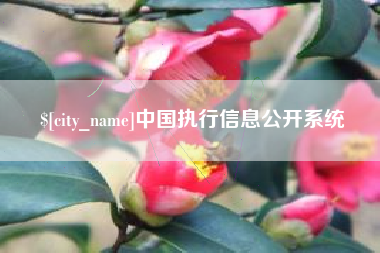 云南中国执行信息公开系统