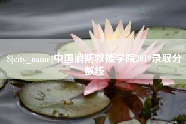 云南中国消防救援学院2019录取分数线