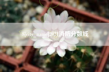 云南2021消防分数线
