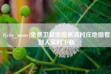 云南免费卫星地图高清村庄地图看到人实时下载