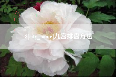 云南九宫排盘方法