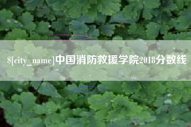 云南中国消防救援学院2018分数线