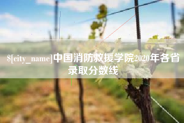 云南中国消防救援学院2020年各省录取分数线