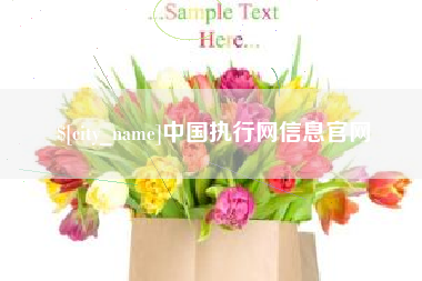 云南中国执行网信息官网