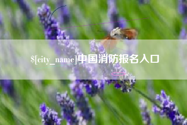 云南中国消防报名入口