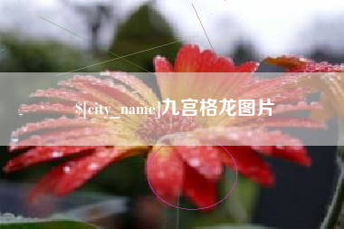 云南九宫格龙图片