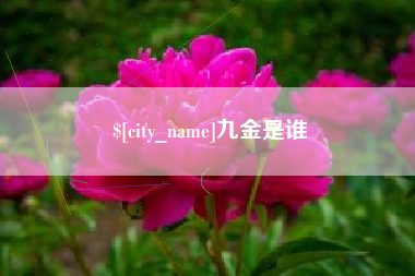 云南九金是谁