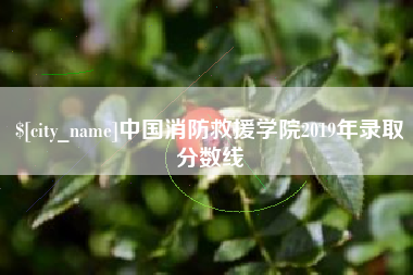 云南中国消防救援学院2019年录取分数线