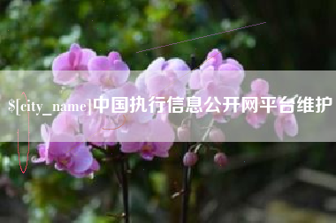 云南中国执行信息公开网平台维护