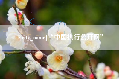 云南“中国执行公开网”