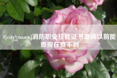 云南消防职业技能证书查询以前能查现在查不到