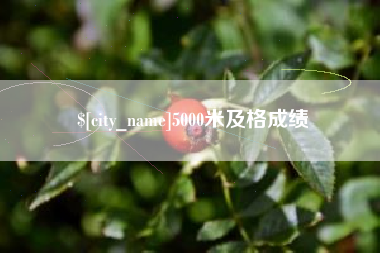 云南5000米及格成绩