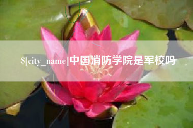 云南中国消防学院是军校吗
