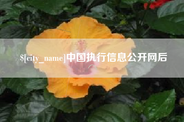 云南中国执行信息公开网后