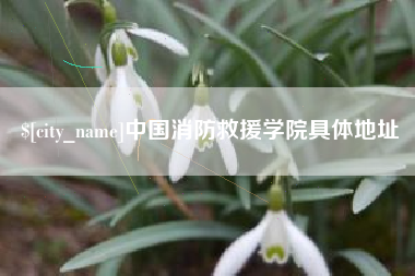 云南中国消防救援学院具体地址
