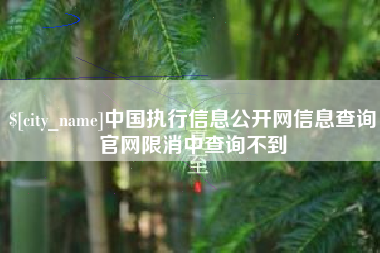 云南中国执行信息公开网信息查询官网限消中查询不到