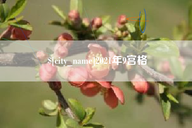 云南2021年9宫格