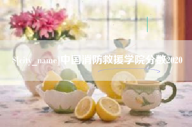 云南中国消防救援学院分数2020