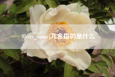 云南九金指的是什么