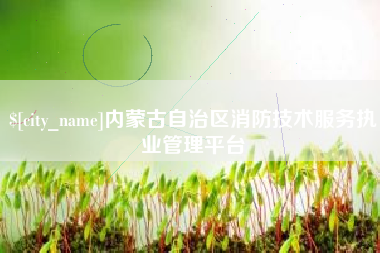 云南内蒙古自治区消防技术服务执业管理平台
