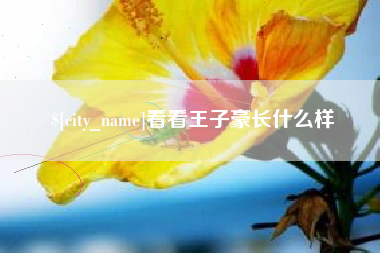 云南看看王子豪长什么样