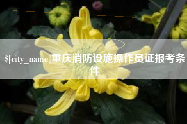 云南重庆消防设施操作员证报考条件