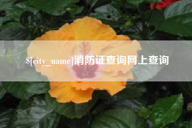 云南消防证查询网上查询