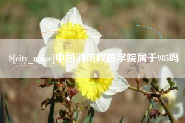云南中国消防救援学院属于985吗