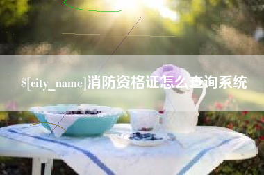 云南消防资格证怎么查询系统