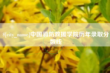 云南中国消防救援学院历年录取分数线
