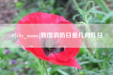 云南我国消防日是几月几日