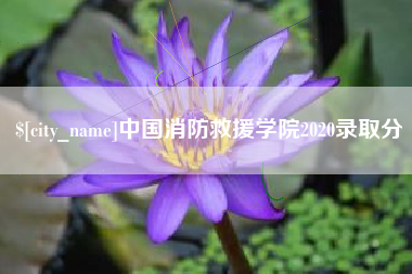 云南中国消防救援学院2020录取分