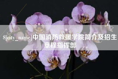 云南中国消防救援学院简介及招生章程指挥部